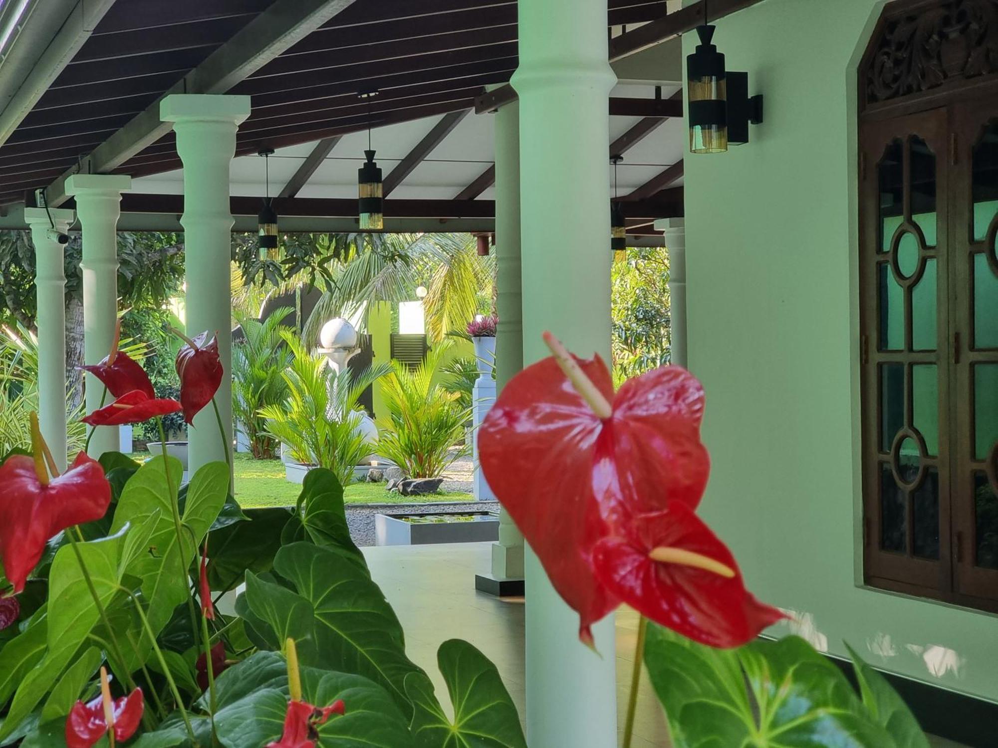 Nima Villa Tangalle Extérieur photo